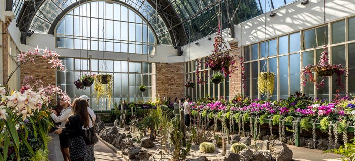winter-gardens